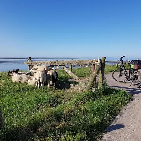 Σπίτι διακοπών B4 Direkt Am Binnensee- Seeblick By Interhome *