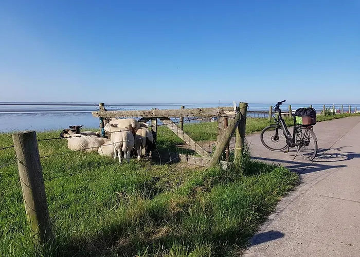 Σπίτι διακοπών B4 Direkt Am Binnensee- Seeblick By Interhome *